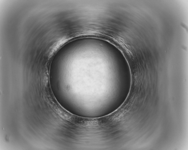 X0000093381363200710251207