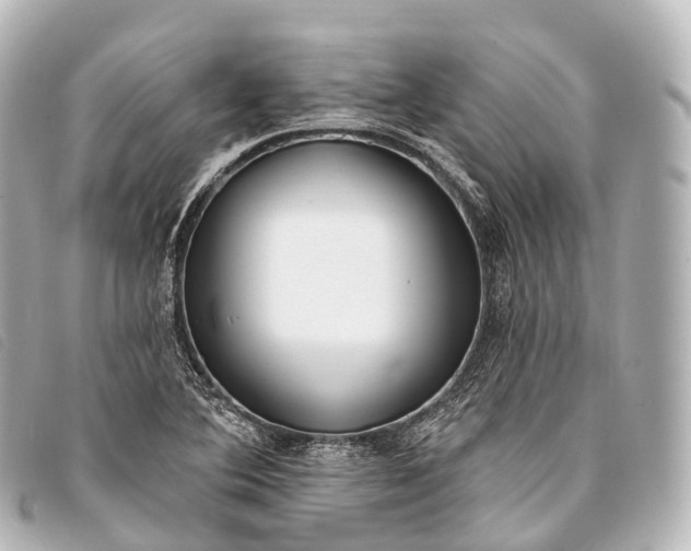 X0000093381364200710251207