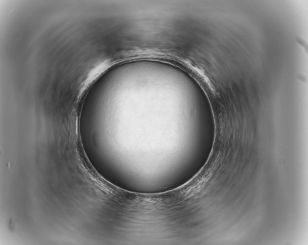 X0000093381365200710251207