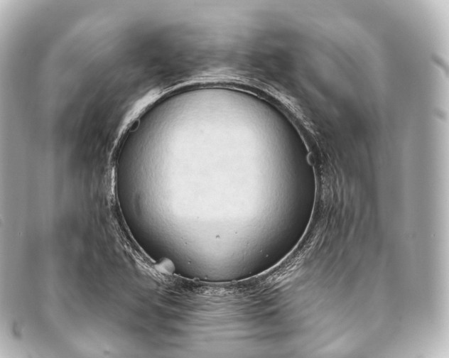 X0000093381366200710251207