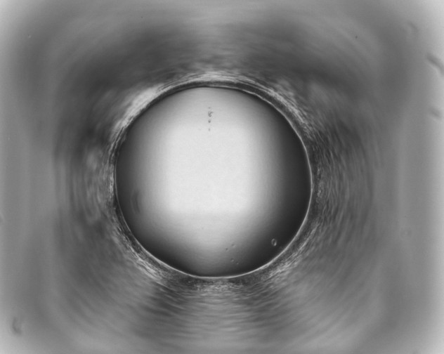 X0000093381367200710251207