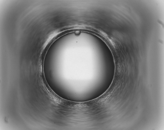 X0000093381368200710251207