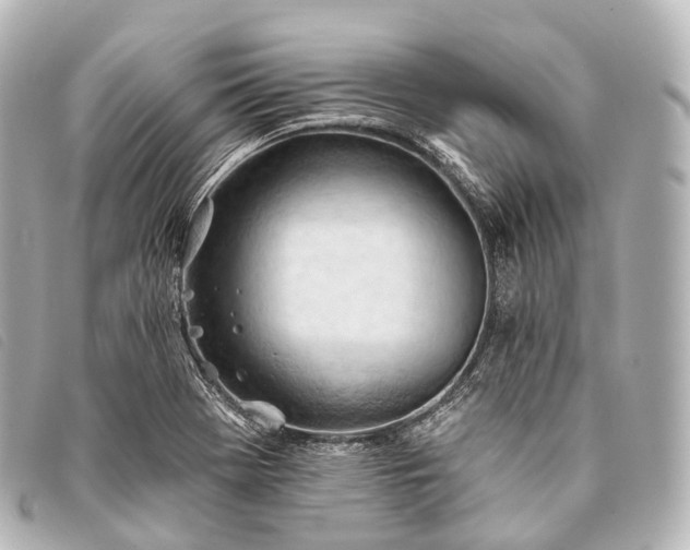 X0000093381369200710251207