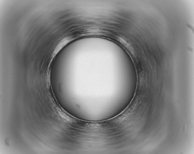 X0000093381370200710251207