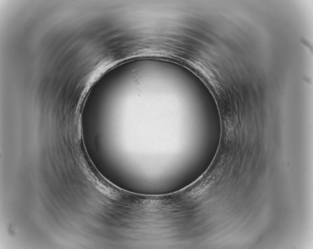 X0000093381371200710251207