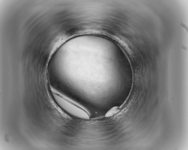 X0000093381373200710251207