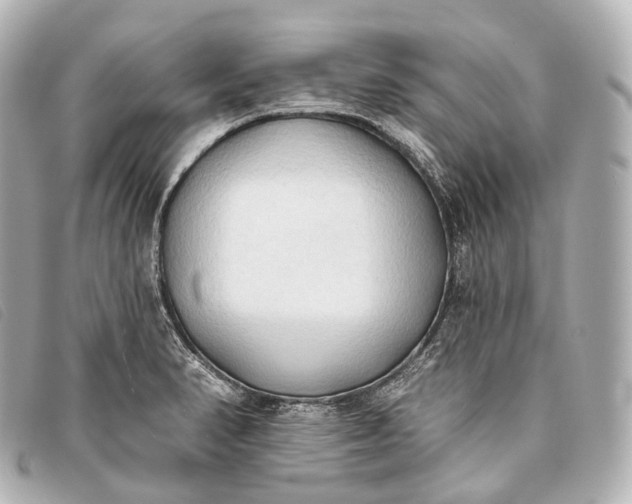 X0000093381374200710251207