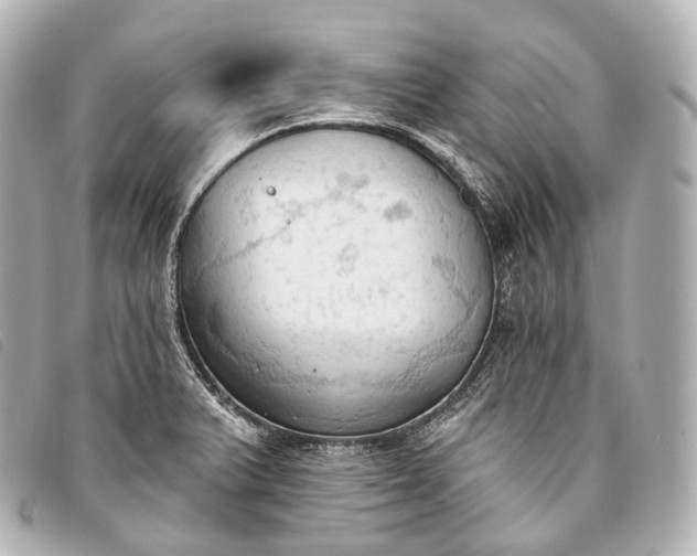 X0000093381375200710251207