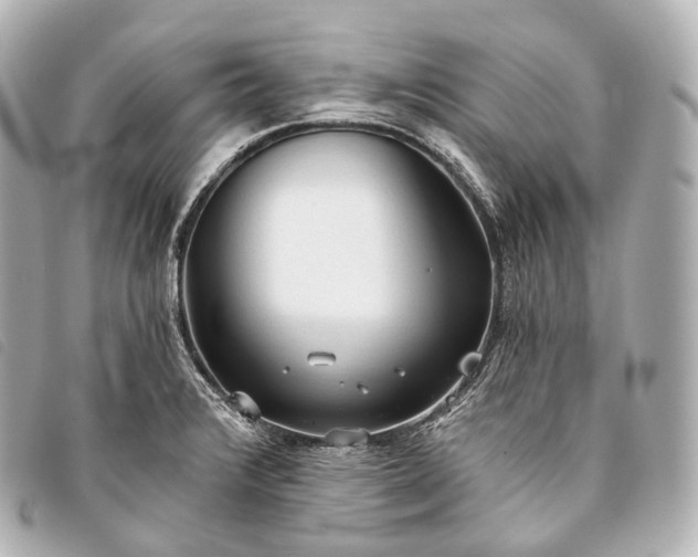 X0000093381376200710251207