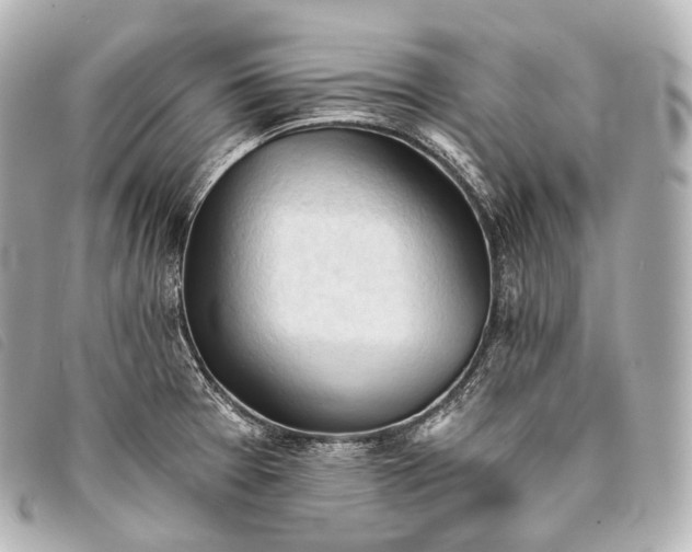 X0000093381377200710251207