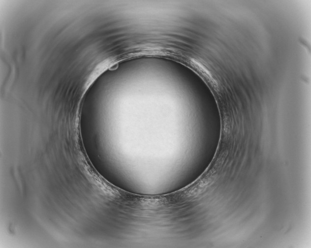 X0000093381378200710251207