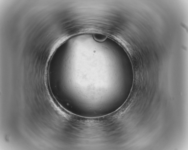 X0000093381379200710251207