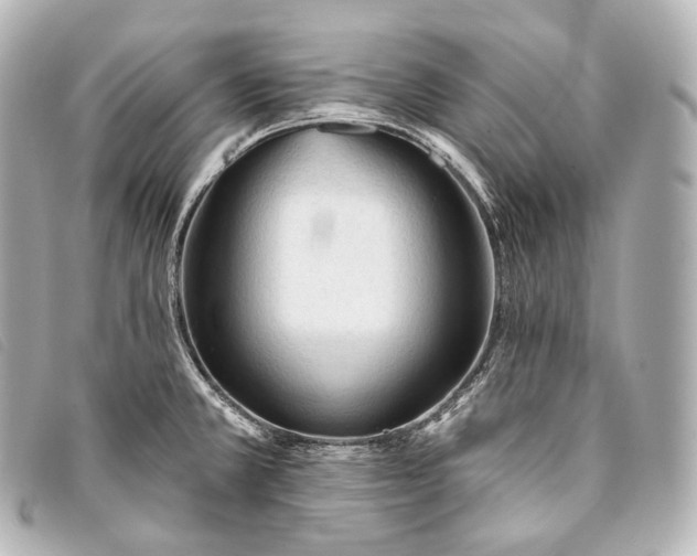 X0000093381381200710251207