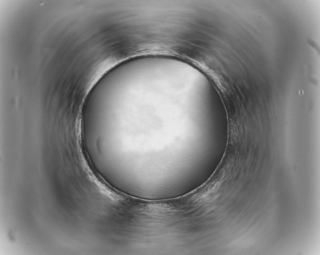 X0000093381383200710251207