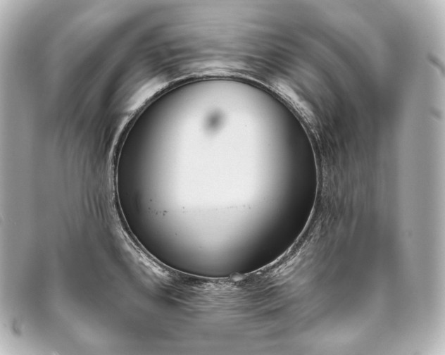 X0000093381384200710251207