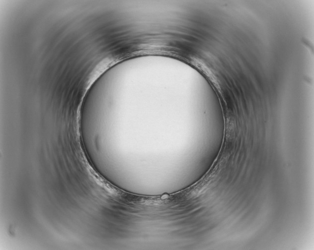 X0000093381386200710251207