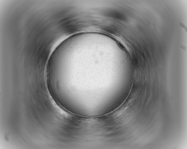 X0000093381387200710251207