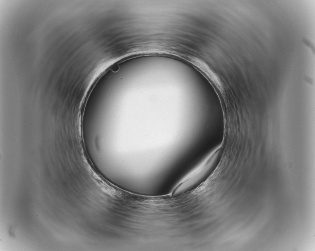 X0000093381388200710251207