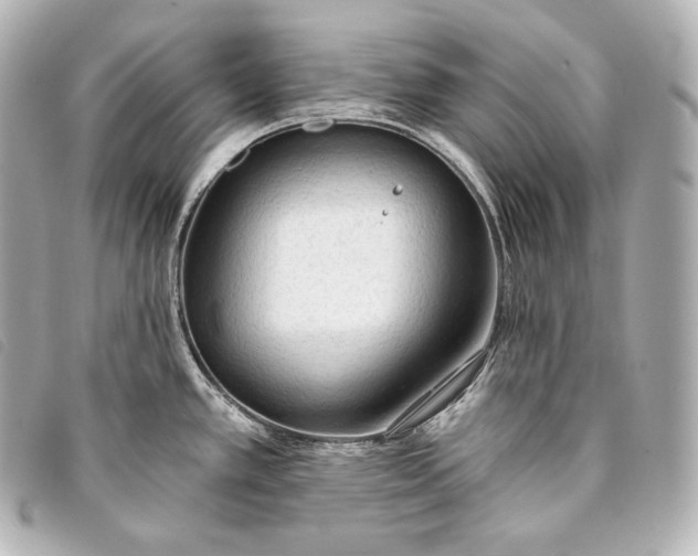 X0000093381389200710251207