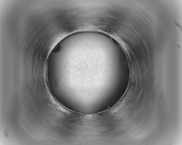 X0000093381390200710251207