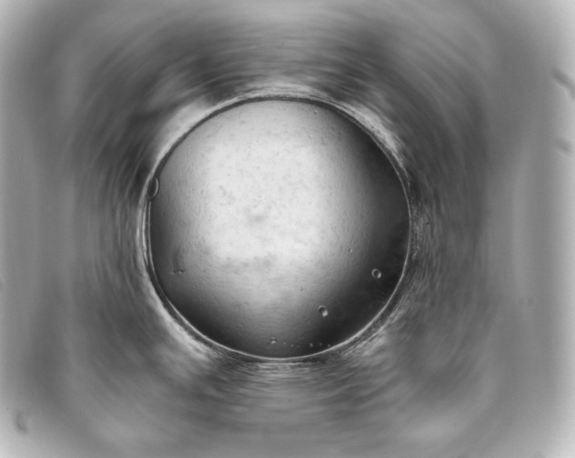 X0000093381391200710251207