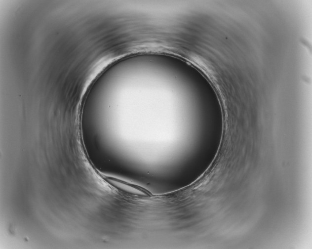 X0000093381392200710251207