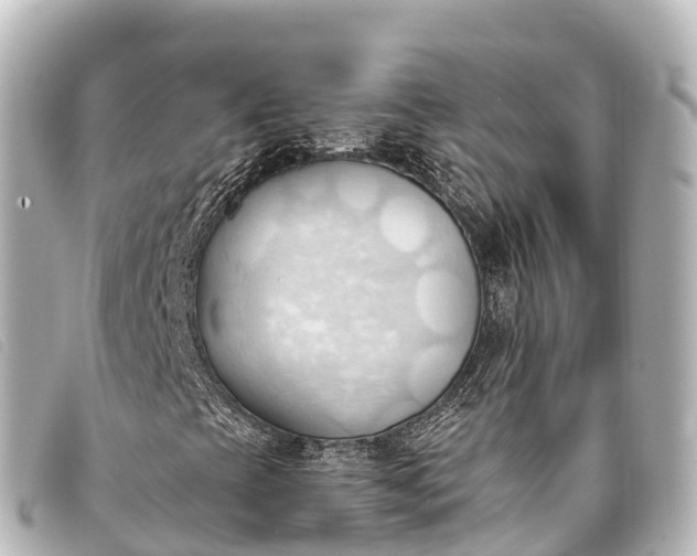 X0000093381393200710251206