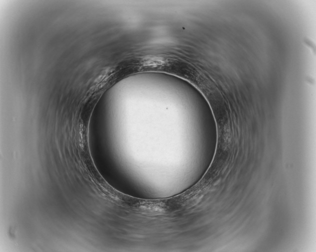 X0000093381394200710251206