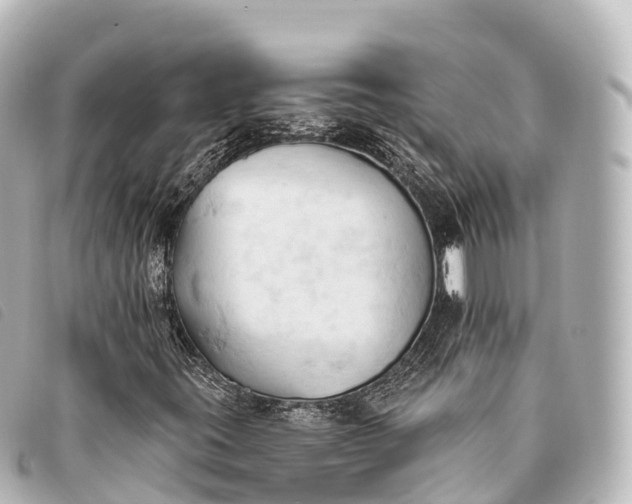 X0000093381395200710251206