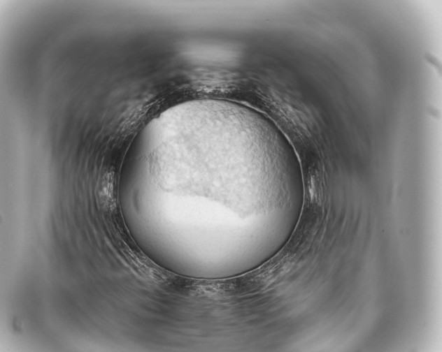 X0000093381396200710251206