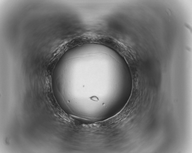 X0000093381397200710251206