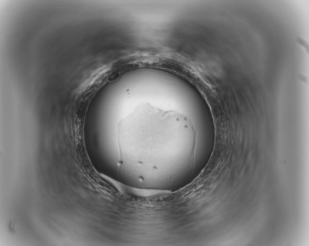 X0000093381399200710251206