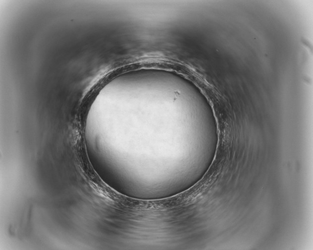 X0000093381400200710251206