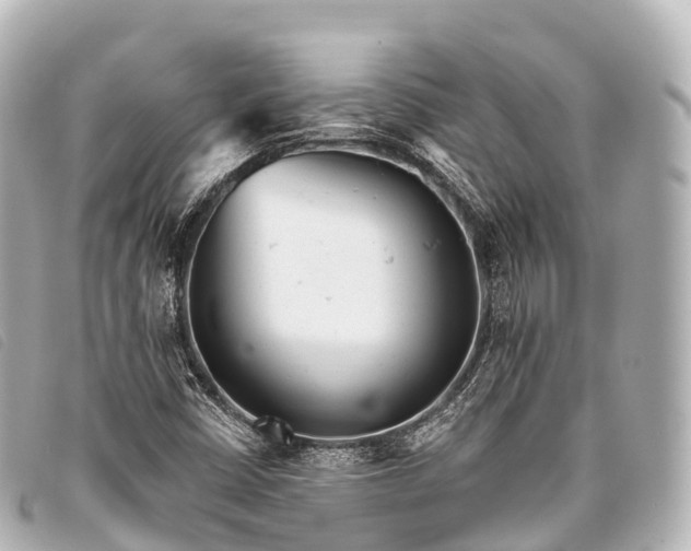 X0000093381402200710251206