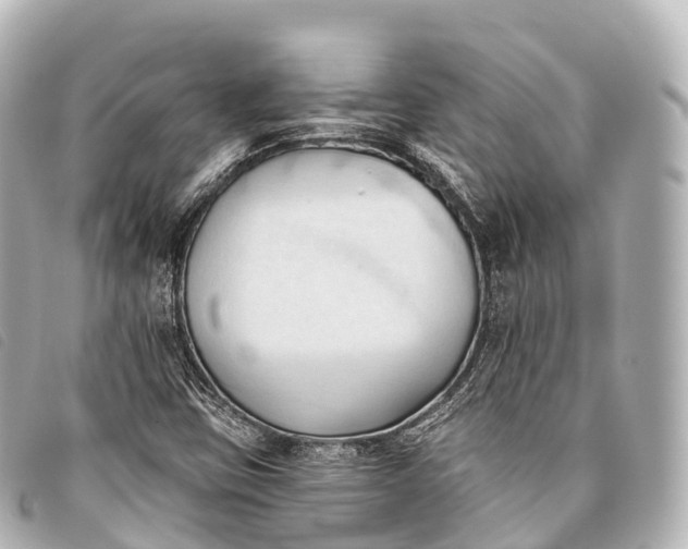 X0000093381403200710251206