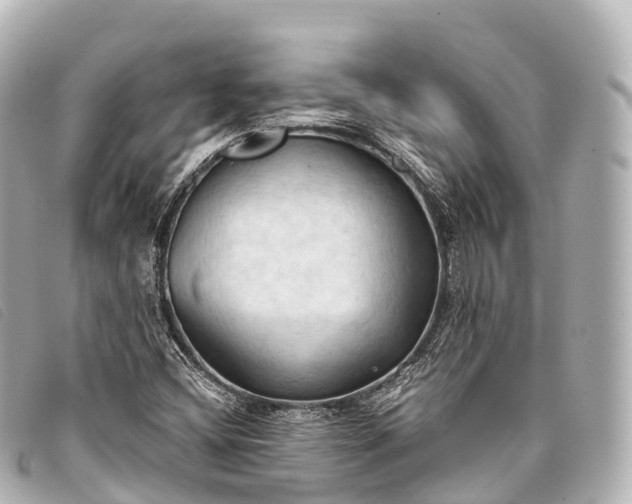 X0000093381404200710251206