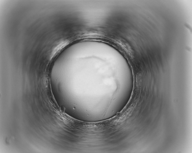 X0000093381405200710251206