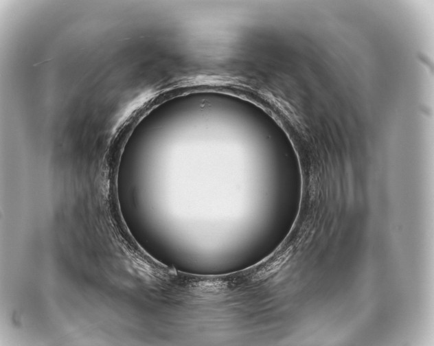 X0000093381406200710251206