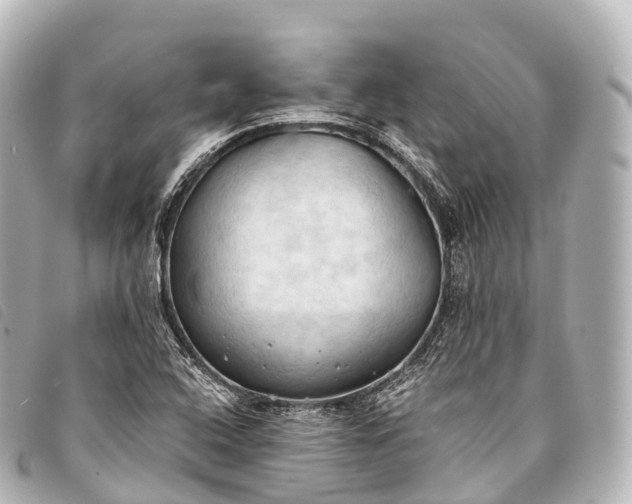 X0000093381408200710251206