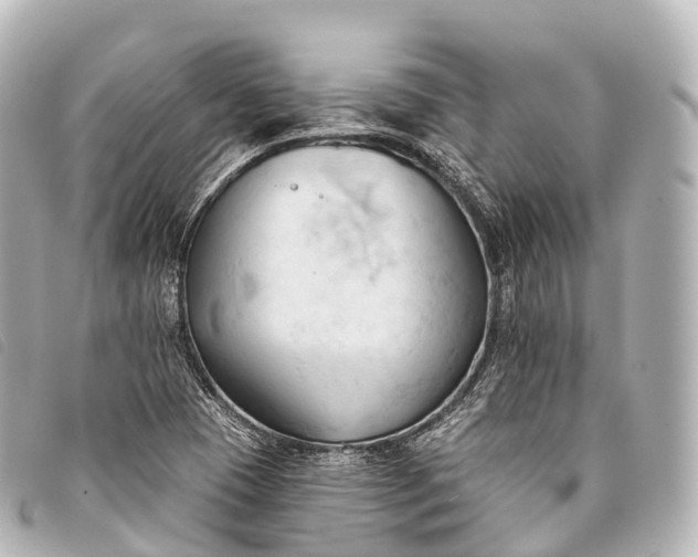 X0000093381409200710251206