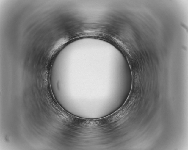 X0000093381411200710251206