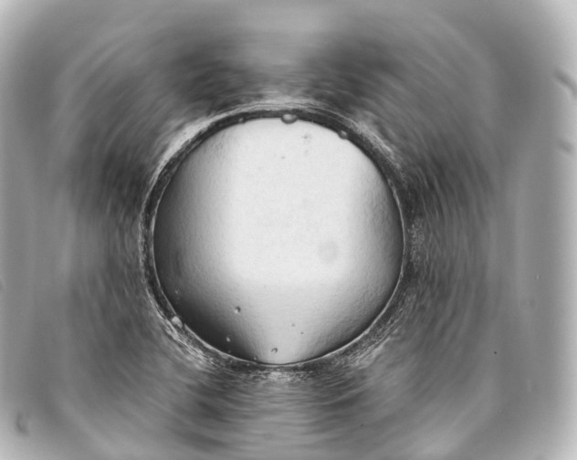 X0000093381412200710251206