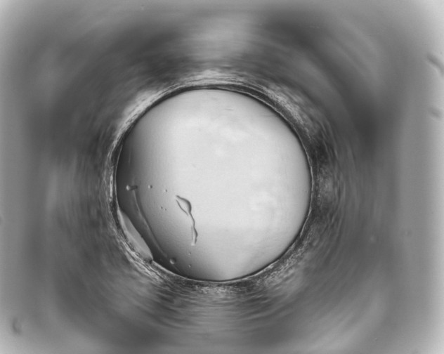 X0000093381413200710251206