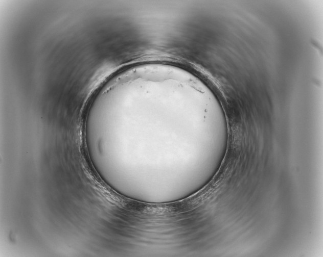 X0000093381415200710251206