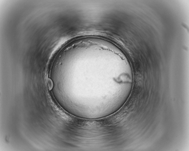 X0000093381416200710251206