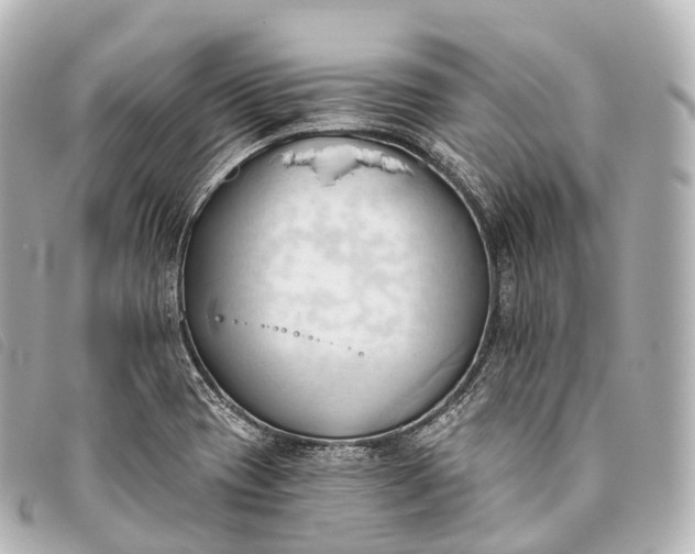 X0000093381417200710251206