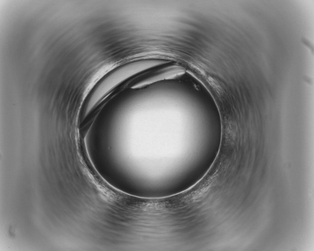 X0000093381418200710251206