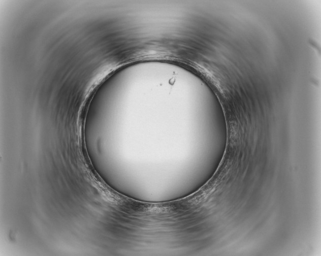 X0000093381419200710251206