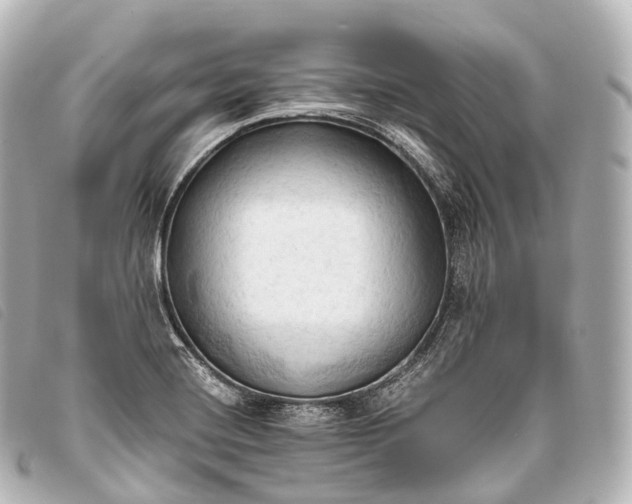 X0000093381420200710251206