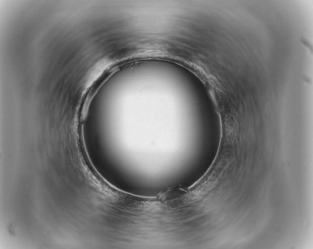 X0000093381422200710251206